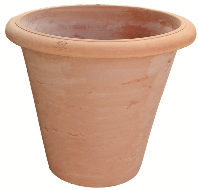 Vaso Camelia